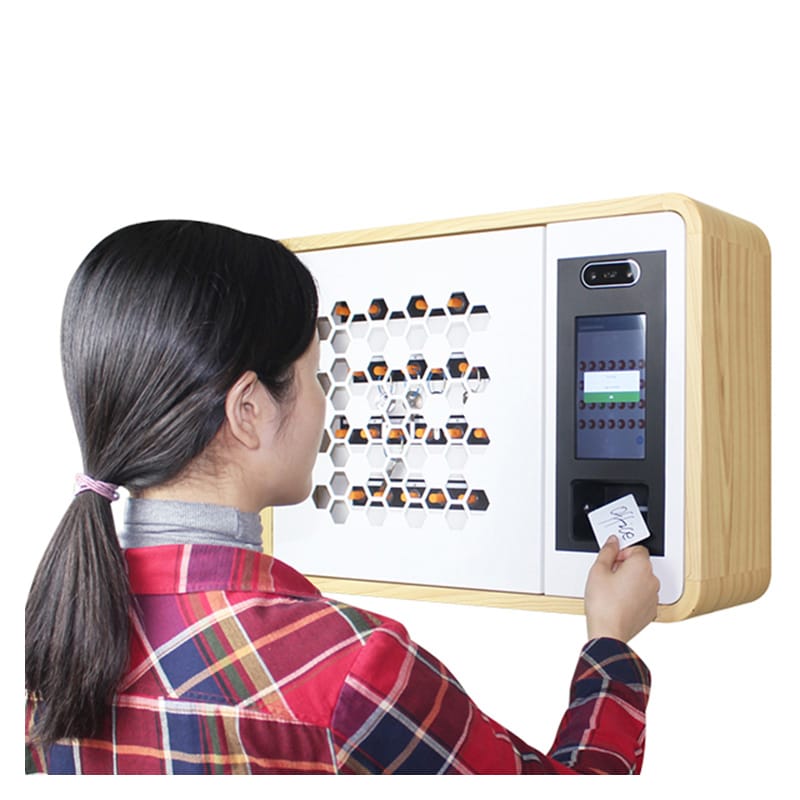 Manufacture Wholesale Fingerprint Controlled Key Safe Cabinet 99Plus VG-M