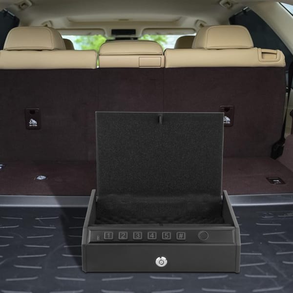 Mini Safe Box Large Capacity Safe Device Security Case Portable Insurance Storage Box for Outdoor NightStand Office Beach Travel